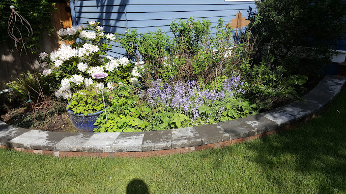 Redmond, WA Yard Clean-Up, Hardscaping, and Lawn Care by Lee’s General Landscaping