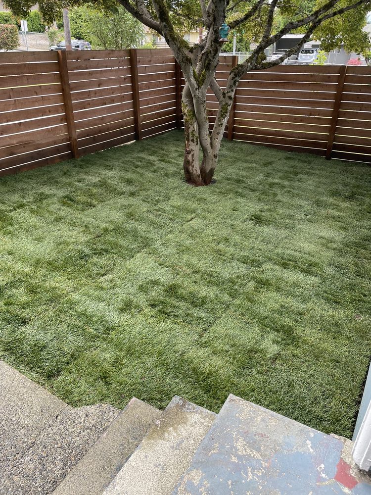 How to Install Sod for a Lush, Instant Lawn