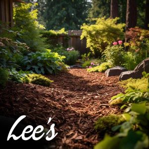 Mulch Guide: Tips for Seattle Yards